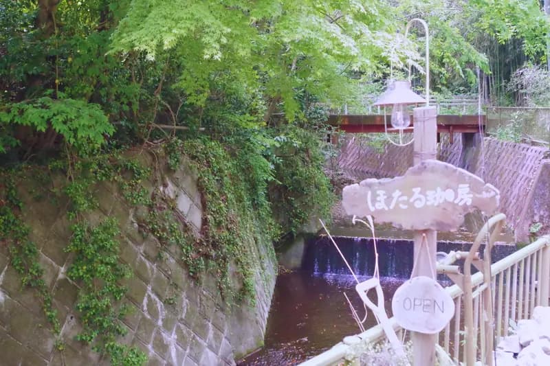 ほたる珈房 店舗写真 3