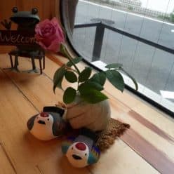 喫茶うずら 店舗写真 4