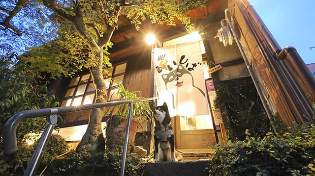 春巻きとよだれ鶏 酔いしば 谷町六丁目 店舗写真 4