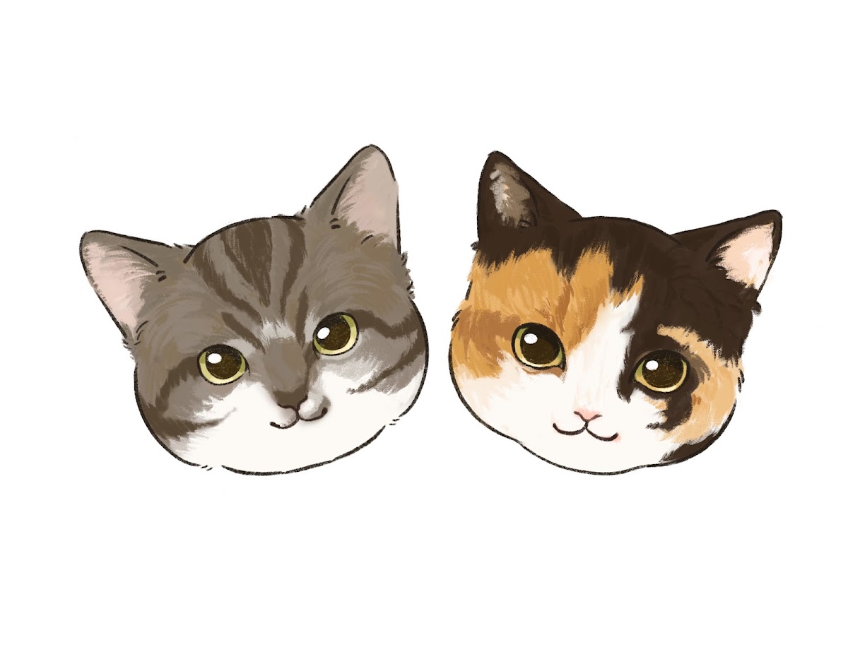 ちょびぽっぽ ギャラリー画像 3